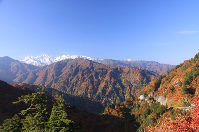 白山白川郷ホワイトロード（紅葉）