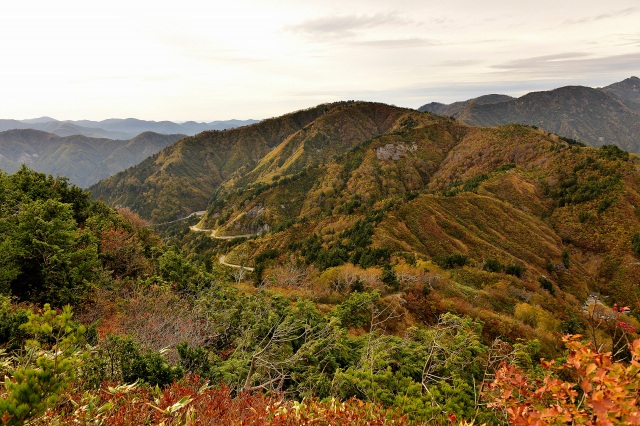 白山白川郷ホワイトロード（紅葉）