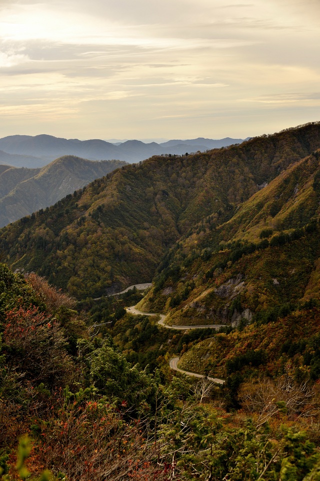 白山白川郷ホワイトロード（紅葉）（）