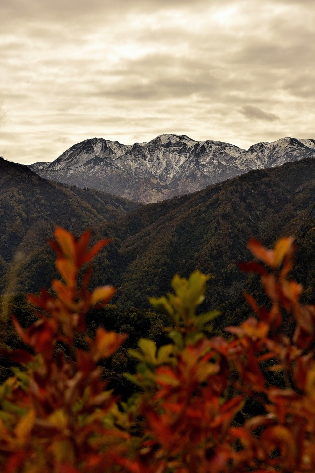 白山白川郷ホワイトロードと白山（）