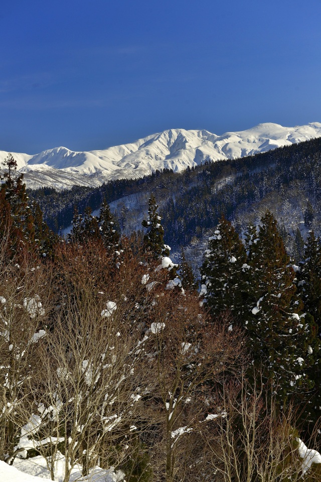 西山からの白山（）