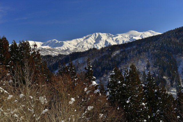 西山からの白山３