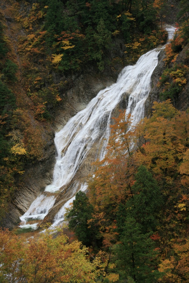 白山白川郷ホワイトロード（姥ヶ滝）