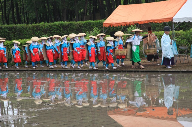 お田植え祭り（）