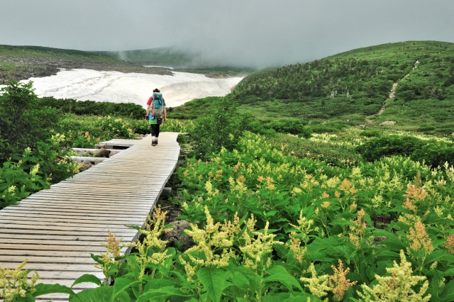 白山弥陀ヶ原