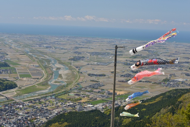 五月の鯉のぼり