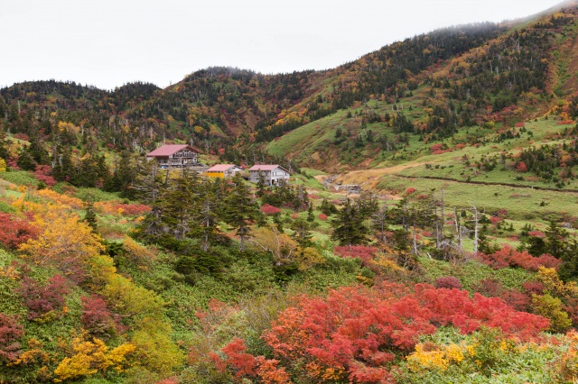 南竜の紅葉