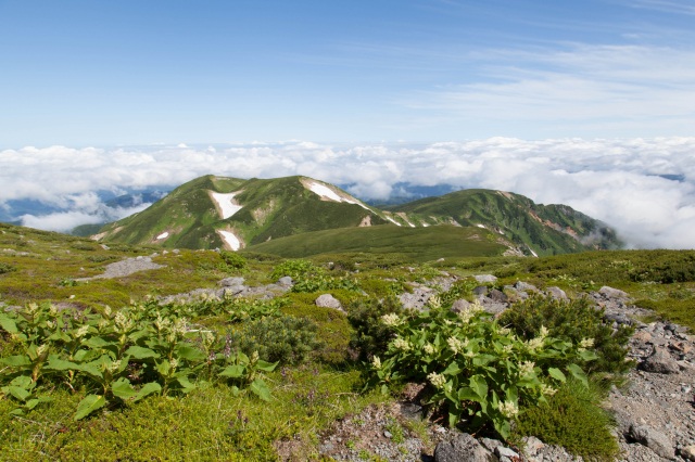 大汝峰から見た七倉山と四塚山（）