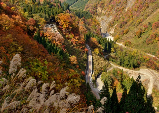 白山白川郷ホワイトロード（秋）（）