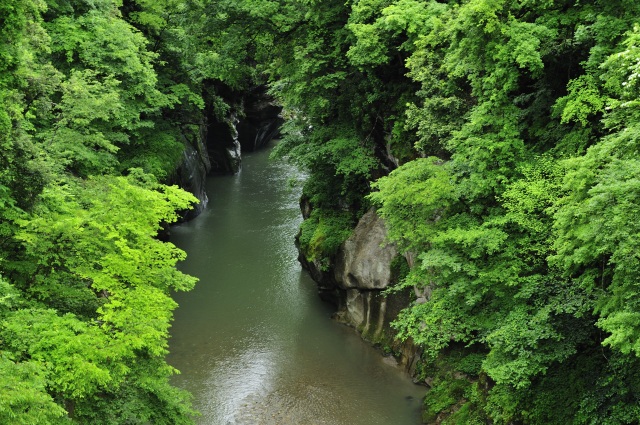 手取峡谷（不老橋）