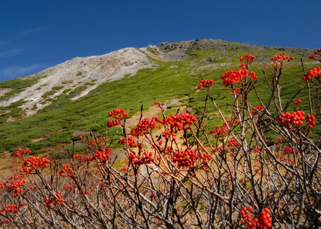 秋の白山山頂