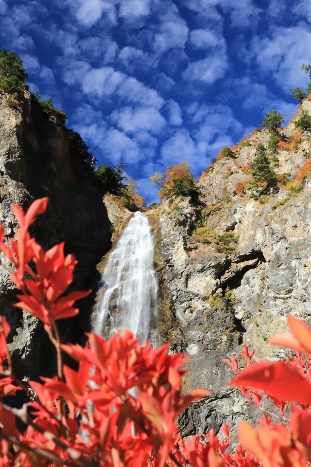 白山白川郷ホワイトロード（ふくべの大滝･秋）