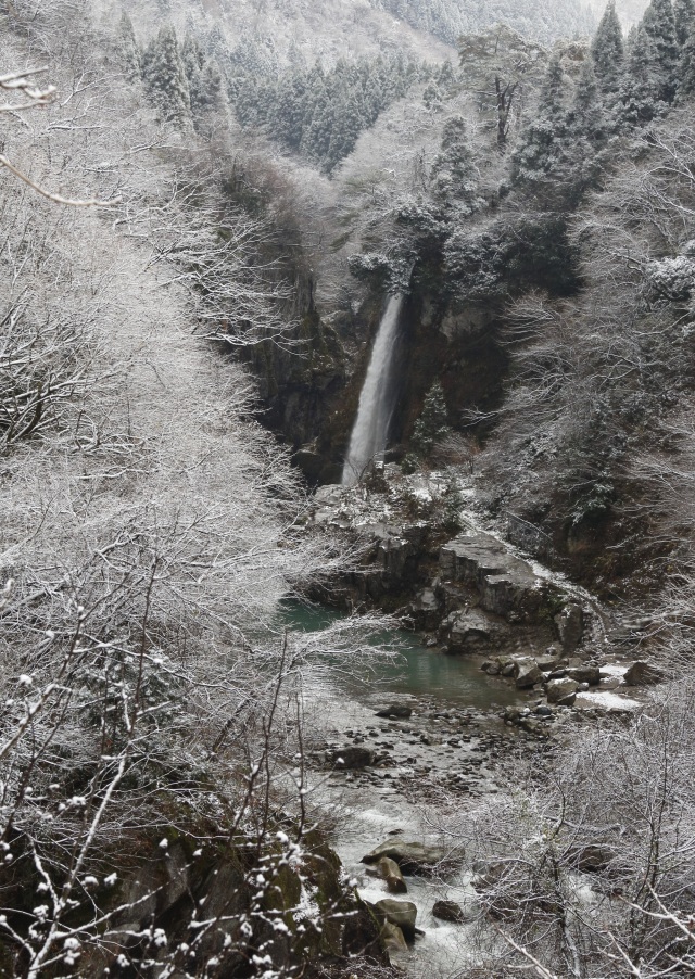 冬の綿ヶ滝（）