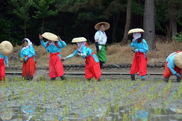  若宮神社お田植え祭り