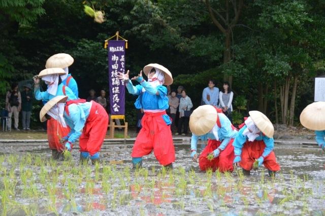 若宮神社お田植え祭り