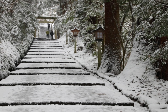 白山比咩神社１９　御一日参り（）