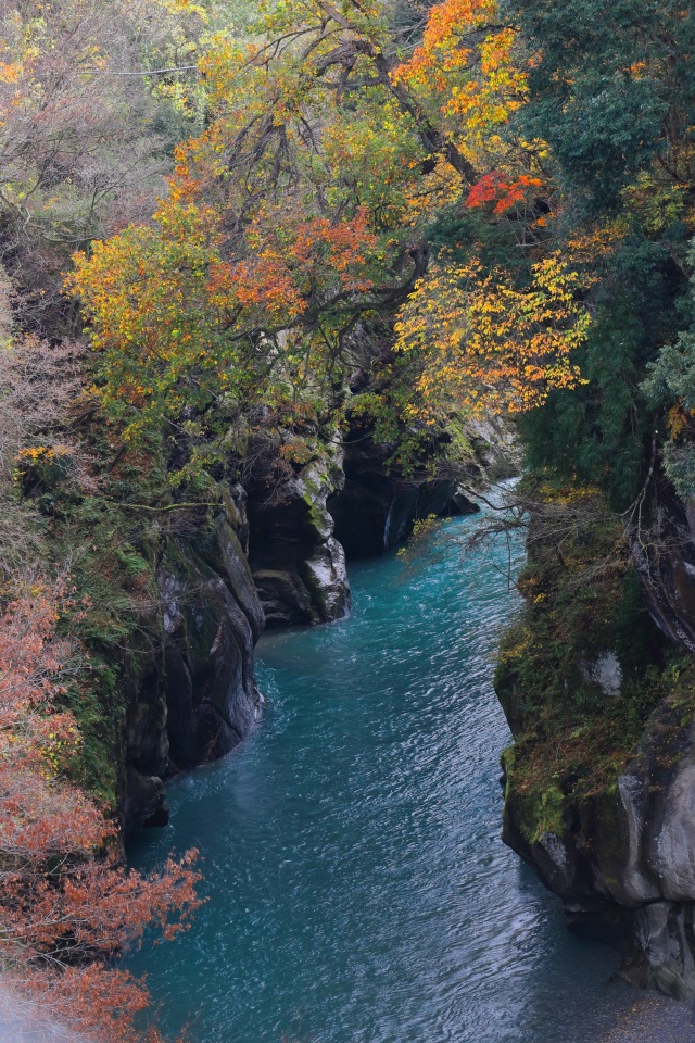 清流戻る