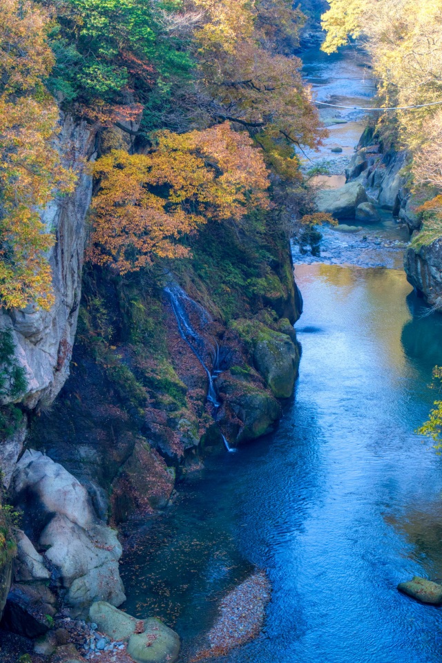 手取峡谷(不老橋　下流)の秋（）