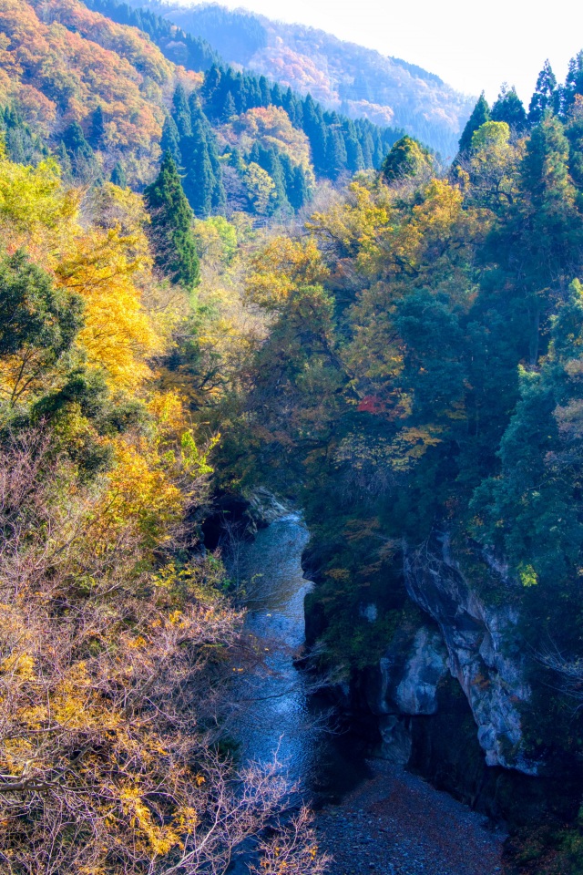 手取峡谷（不老橋　上流）