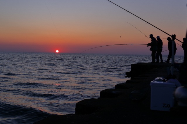 夕日