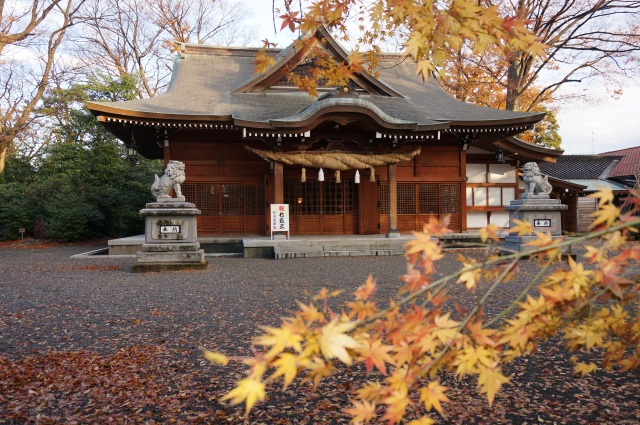 紅葉の松任金剣宮