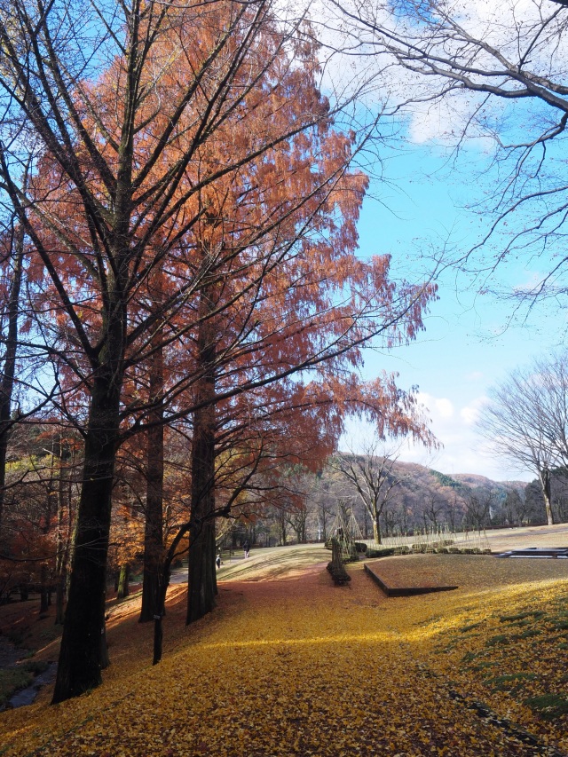 秋の散歩道