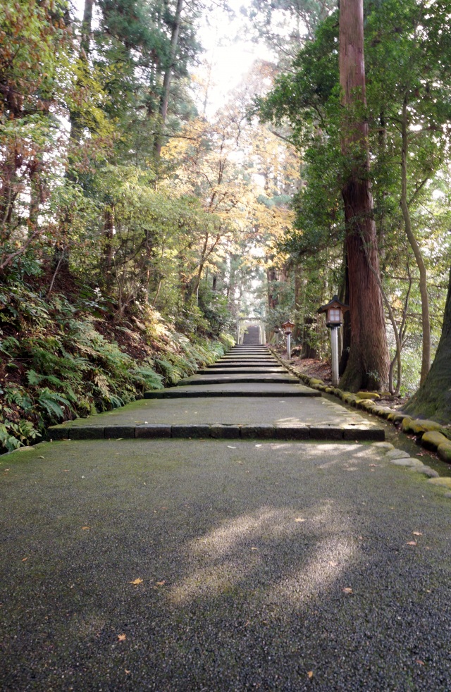 白山比咩神社１１（木漏れ日の表参道）（）