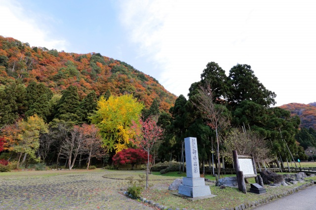 御仏供杉と紅葉４