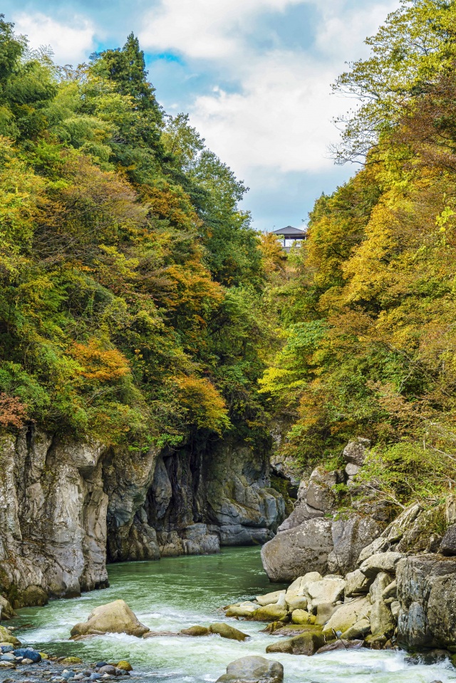 紅葉の手取峡谷（）