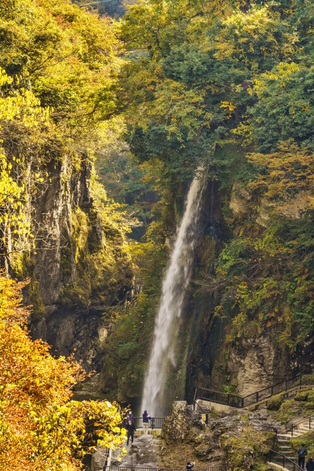 紅葉の綿ヶ滝