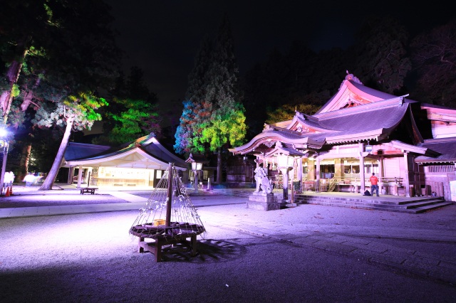 白山比咩神社　ライトアップ