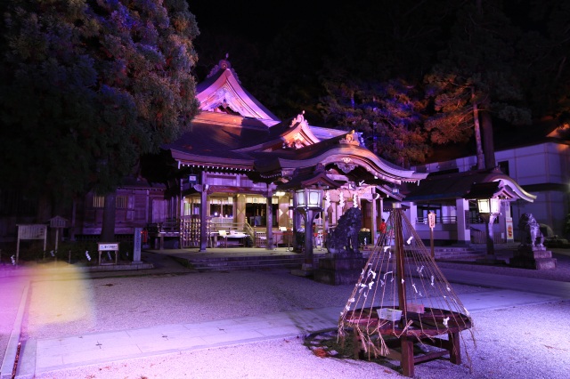 白山比咩神社　ライトアップ