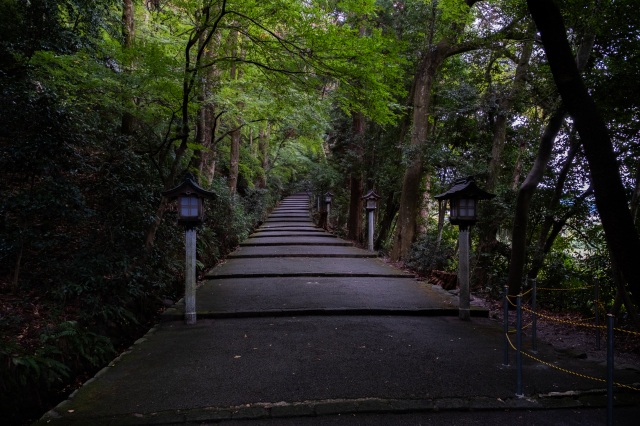 白山比咩神社（表参道）