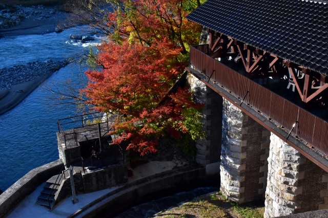 紅葉の大水門（）