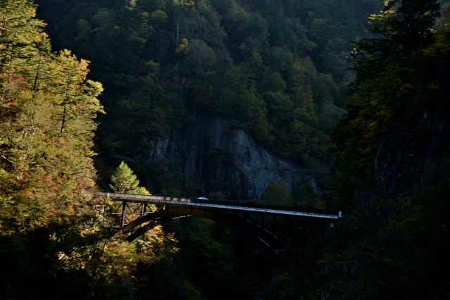 紅葉も峡（）