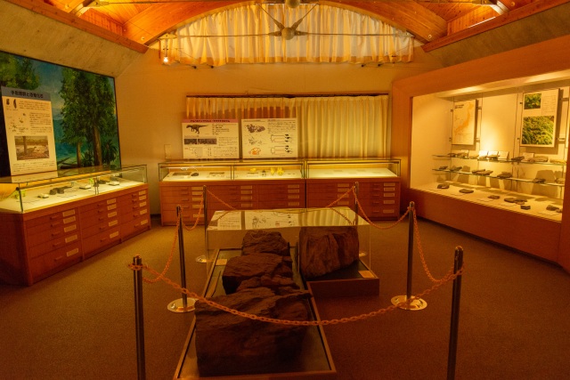 白山恐竜パーク白峰（）