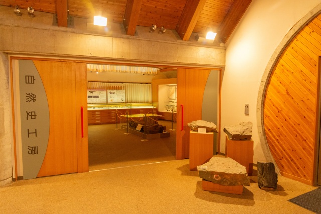 白山恐竜パーク白峰（）