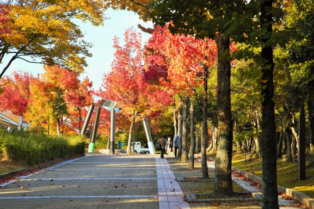 秋の公園（）
