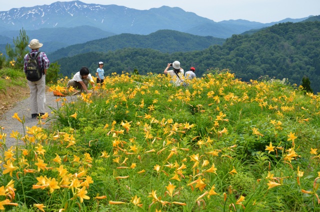 白山高山植物園（）