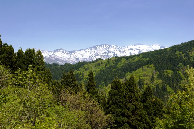 初夏の白山（）