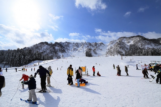 白山一里野温泉スキー場（）