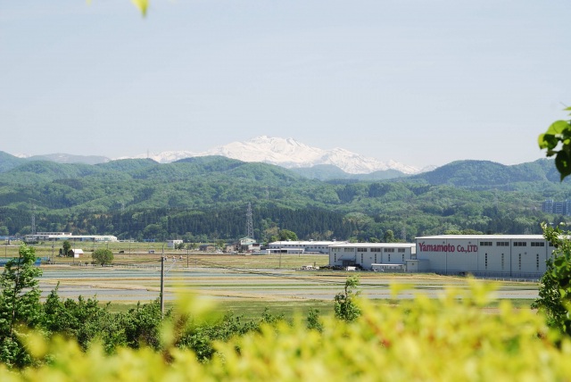 グリーンパークからの白山