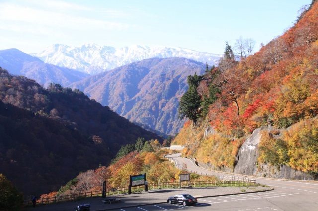 白山白川郷ホワイトロード（紅葉）（）