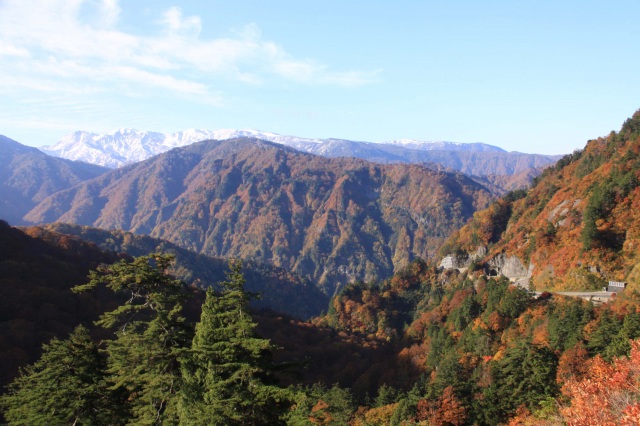 白山白川郷ホワイトロード（紅葉）（）