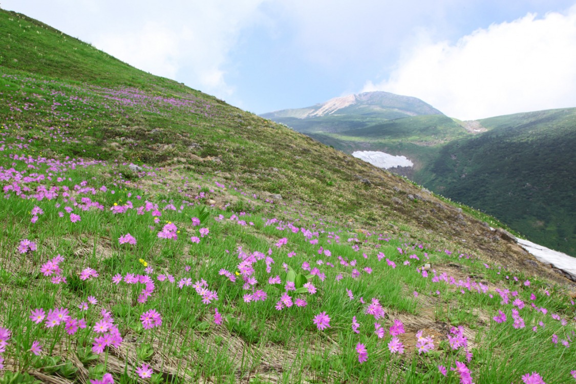 10分で知る早わかり白山市 5つの魅力