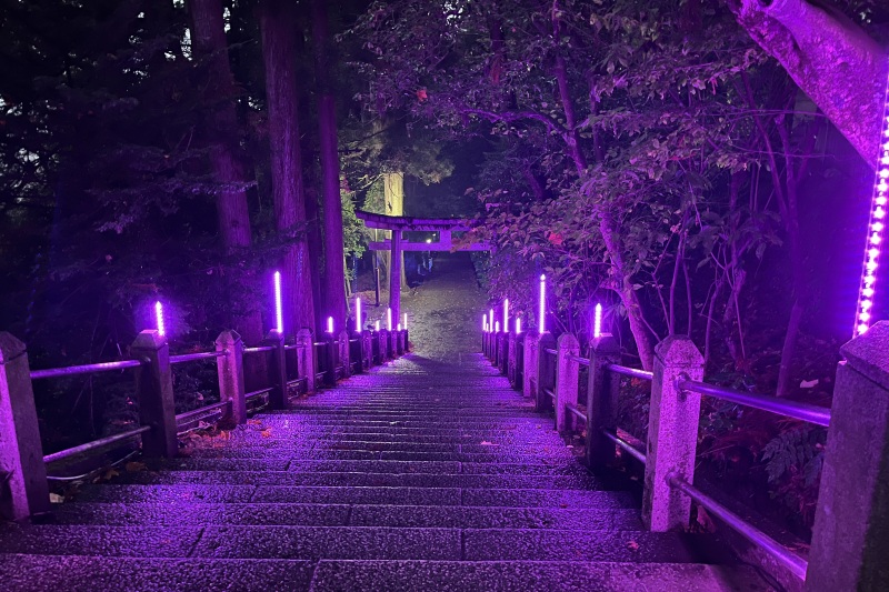 週末に開催中！白山比咩神社ライトアップ