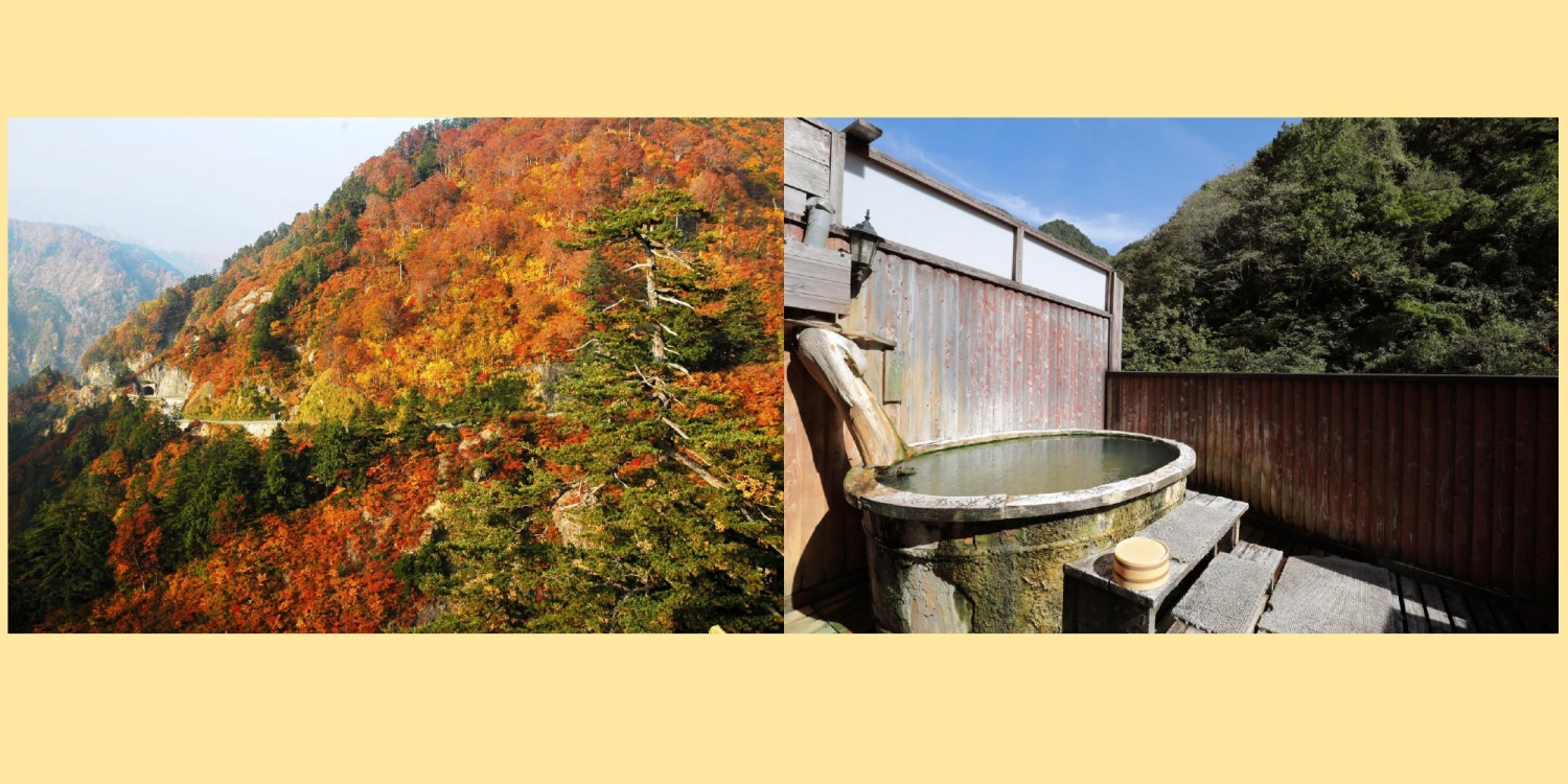 白山白川郷ホワイトロード片道無料キャンペーン