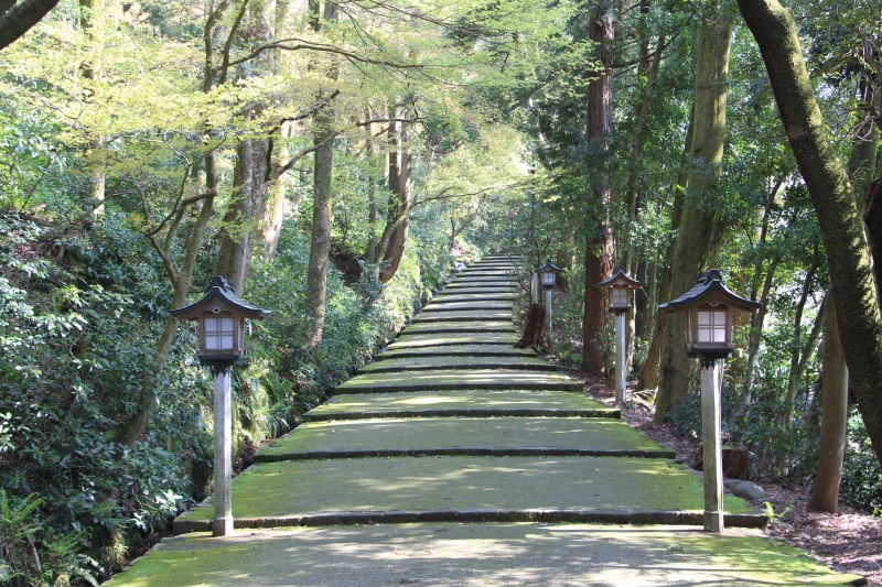 白山比咩神社表参道