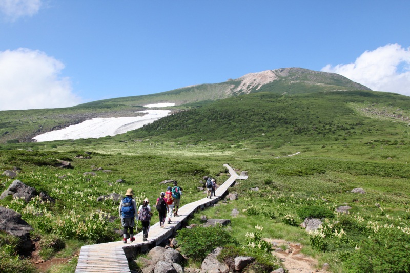 白山登山道