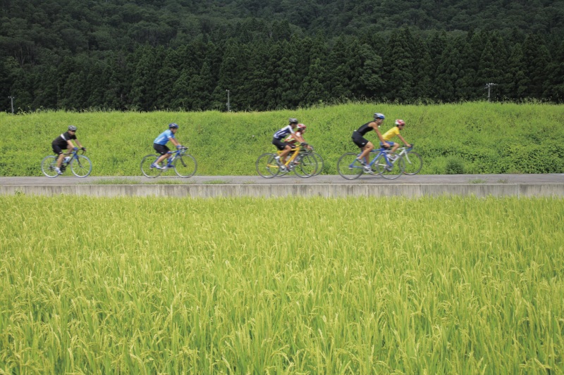 手取キャニオンロード　　©石川県観光連盟